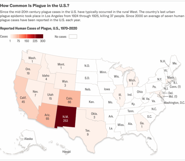 Rare Bubonic Plague Case Sparks Concerns Over Western Outbreaks