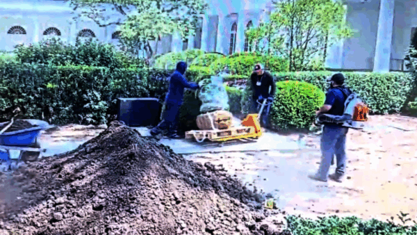 Trump Confronts Contractors Over Rose Garden Damage: ‘Stupidity’ Caught on Camera
