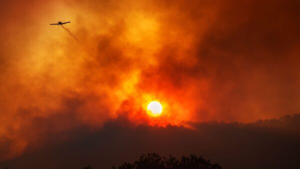 The War on Light: How Governments Suppress Sunlight for Profit