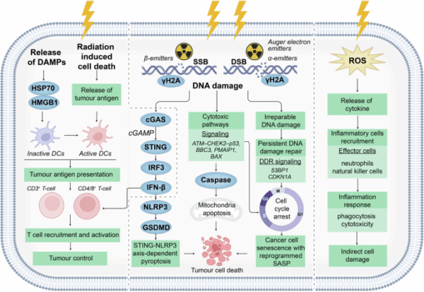 Exposed: Light Therapy’s Revolutionary Potential Against Pharma’s Grip