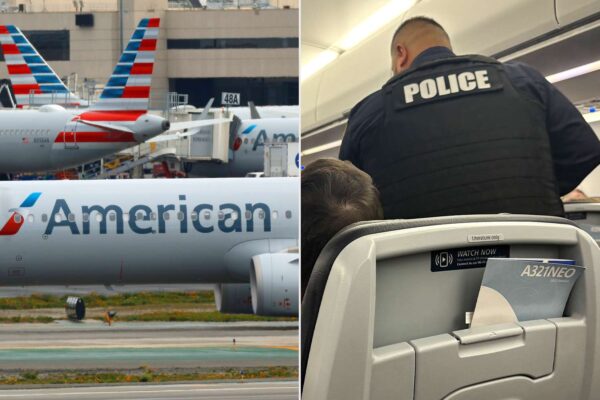 American Airlines Flight Carrying Four Congressmen Diverted After Passenger Claims ‘We Live in a Fascist State’