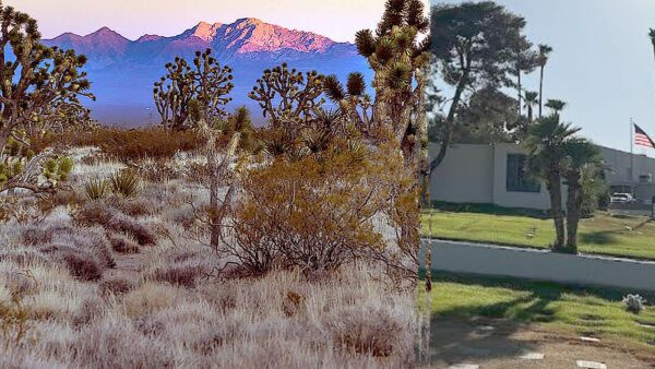 Over 300 Piles of Human Remains Discovered in Nevada Desert Spark Investigation