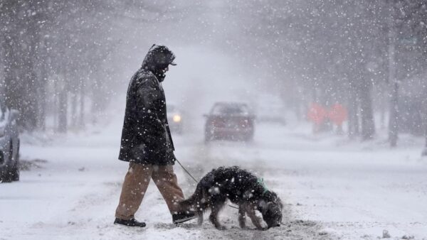 Major Winter Storm Warnings Now Encompass 250 Million Americans Across the United States