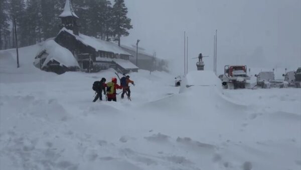 Eight Skiers Buried Alive by Lake Tahoe Avalanche as Search Efforts Intensify