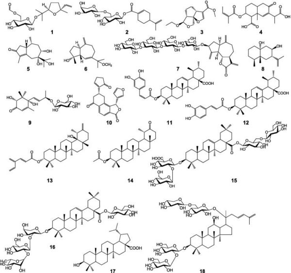 Pharmaceutical Industry Blocks Natural Healing Compound Despite Decades of Research