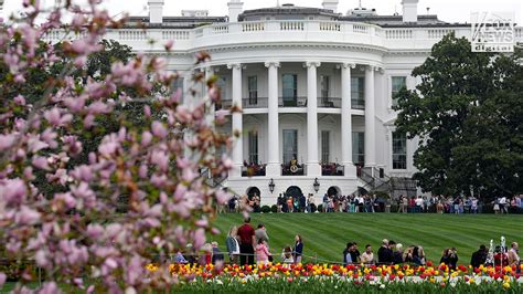 Private Company Pledges $1 Million to Repair White House Lawn After UFC Event